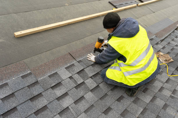 Roof Gutter Cleaning in Bay Hill, FL
