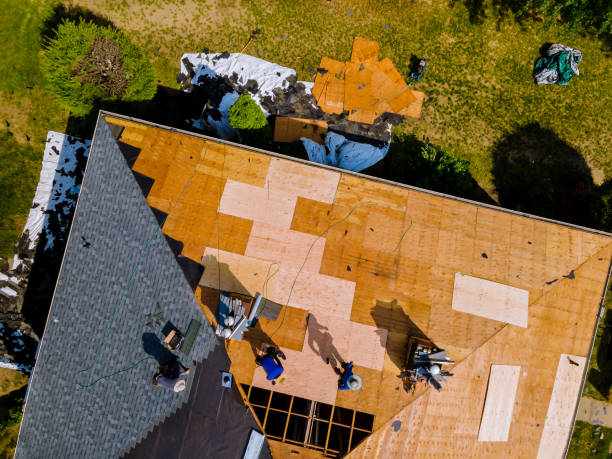 Roof Repair Estimates in Bay Hill, FL